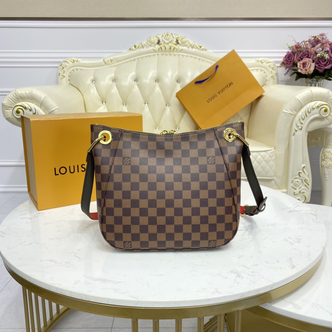 Louis Vuitton SOUTH BANK BESACE Handbag Damier Ebene N42230